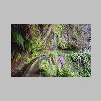 Madeira_2019_11_14_0289_Sao_Jorge-Levada_do_Rei_IMG_9104.jpg